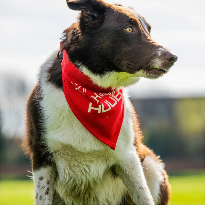 Huub Pet PET 2024 Pauelo Bandana A2- Red